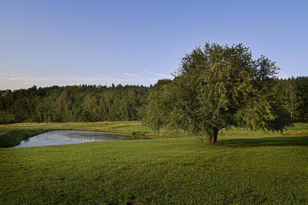 Gosciniec Nowa Wioska Bed and Breakfast Wałbrzych Εξωτερικό φωτογραφία